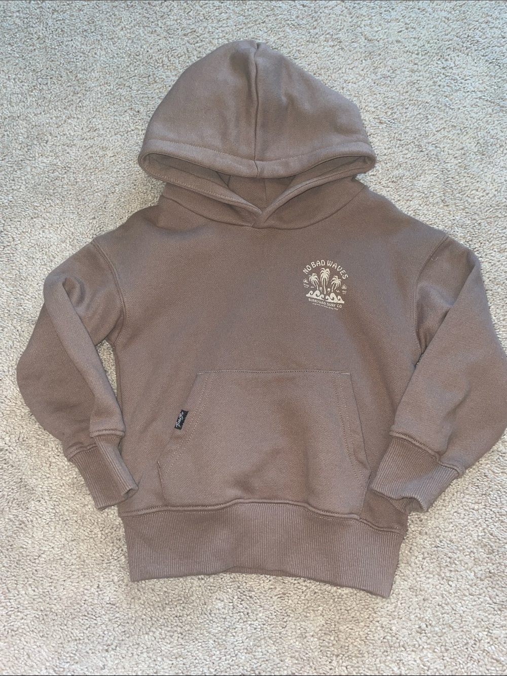 EUC Binky Bro Hoodie